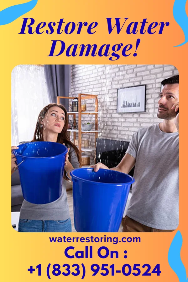 water restoration Citywide Water Removal & Sons Owings